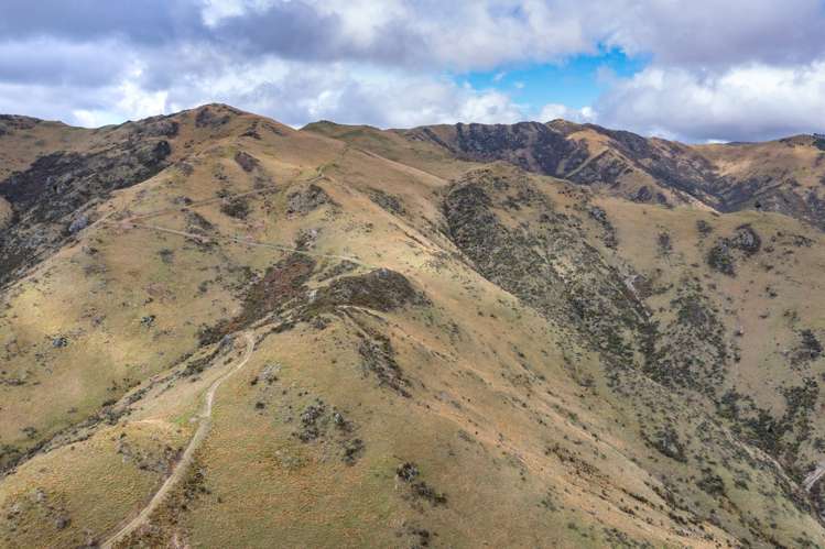 1731 Ram Paddock Road Ashley Forest_16