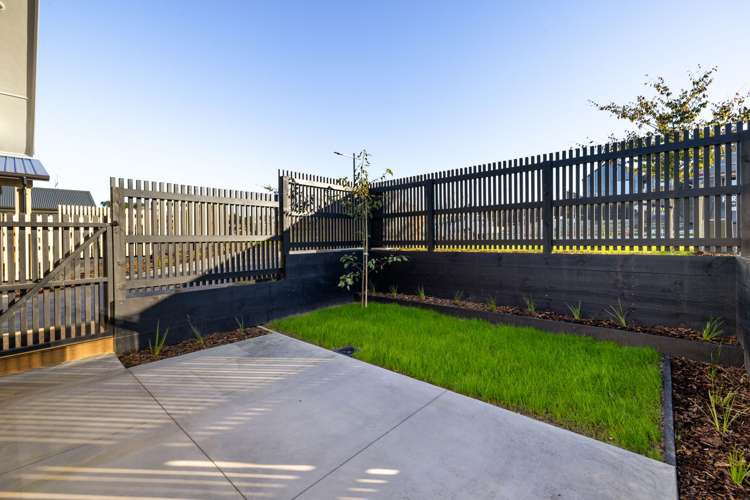 25 Lumino Terrace Peacocke_21