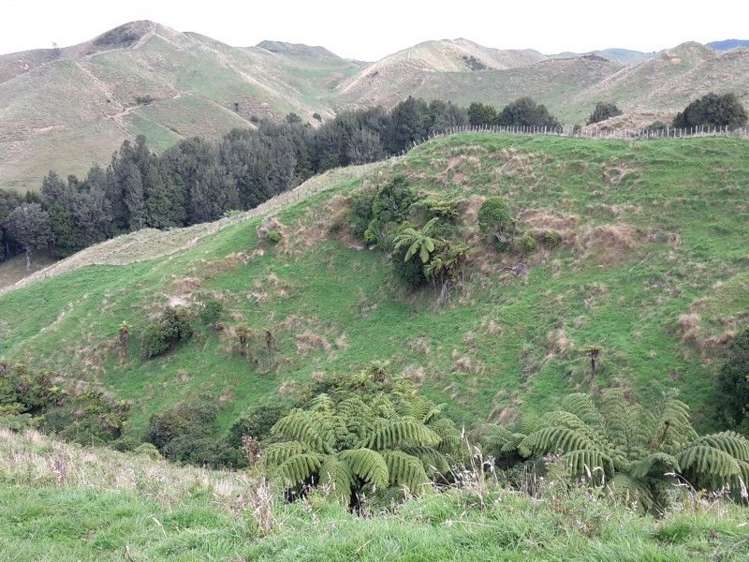 446 Stanley Road Te Popo_32