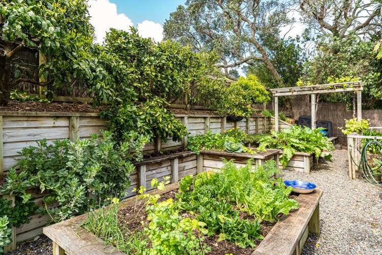 14 Macky Avenue Devonport_15