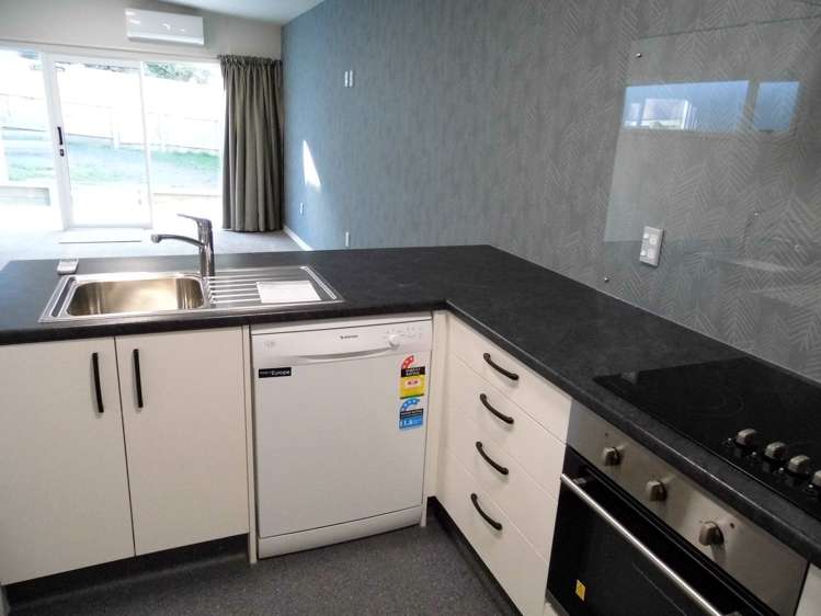 64 Carroll Street National Park_2