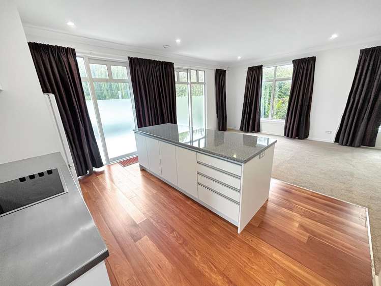 120 Park Terrace Christchurch Central_12