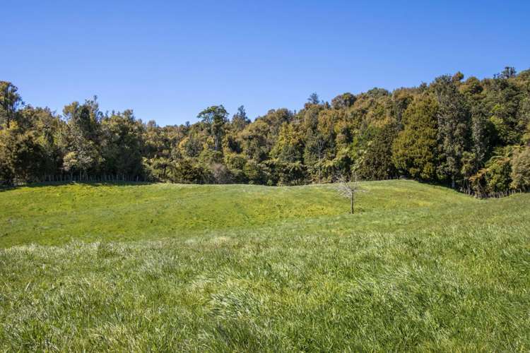 43B Walls Road Waihi_6