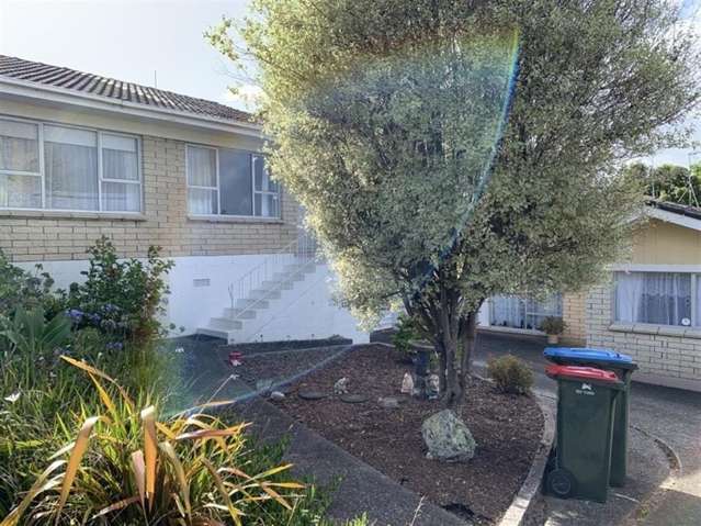 3/23 Tawa Road Onehunga_1