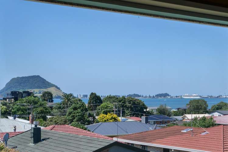 20 Laing Place Otumoetai_15