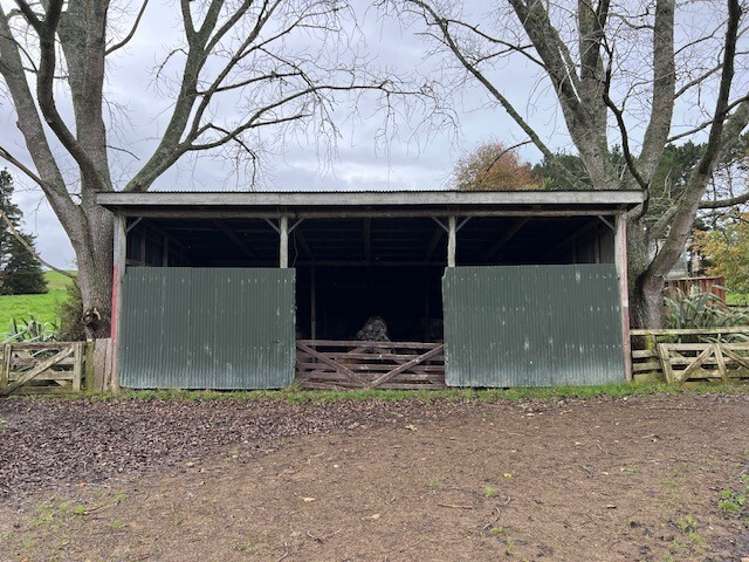 401 Waikaretu Valley Road Glen Murray_10