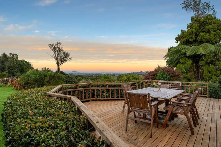 751 Esdaile Road Whakamarama_5