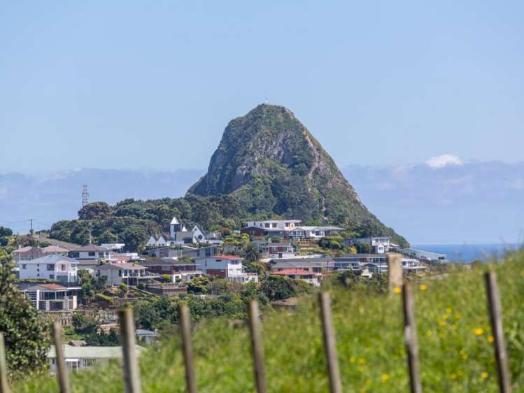 91 South Road Blagdon_13