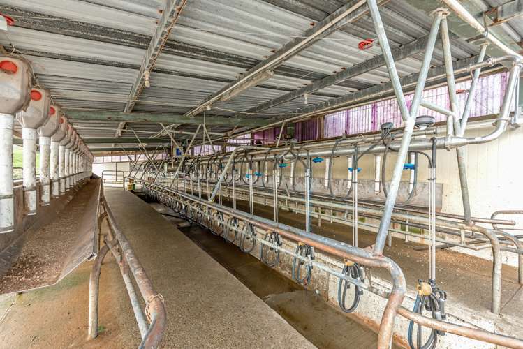 163 Makoura Road Apiti_11