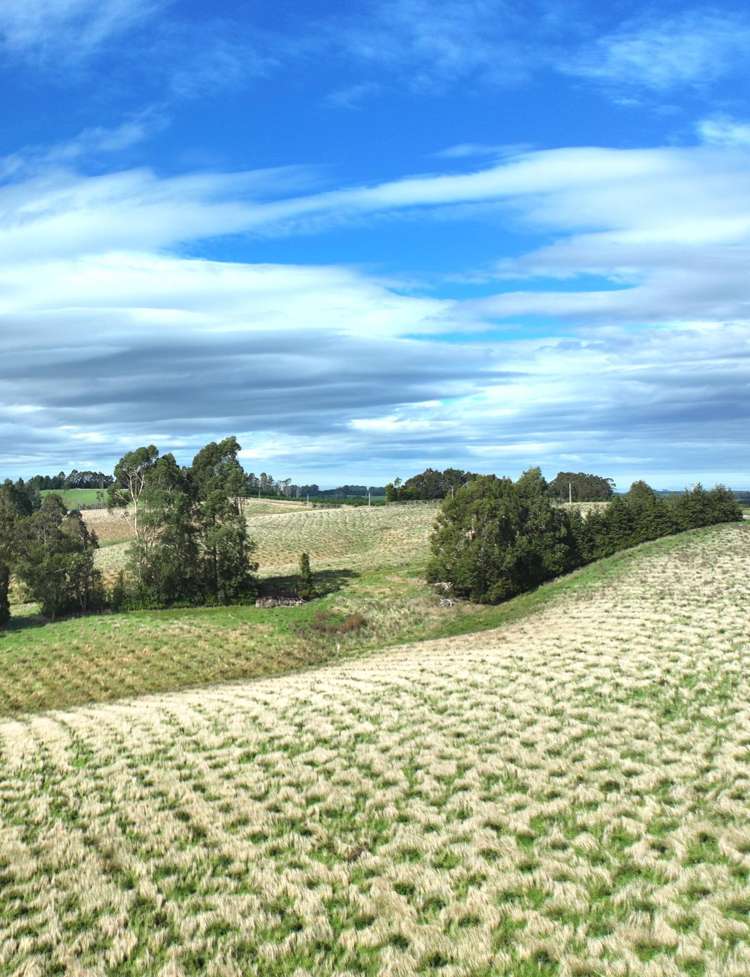 174 McCulloch Road Awamangu_33