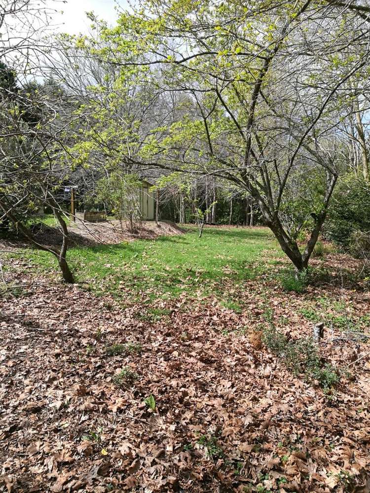 133 Bradford Street Waihi_11