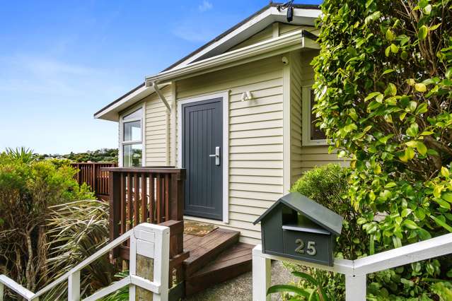 25 Voltaire Street Karori_1