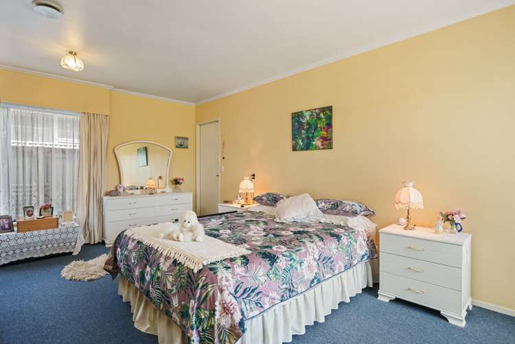 58 Salisbury Street Levin_7