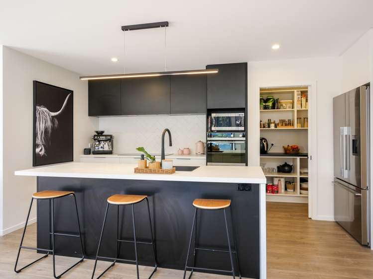 249 Larnach Road Waverley_3