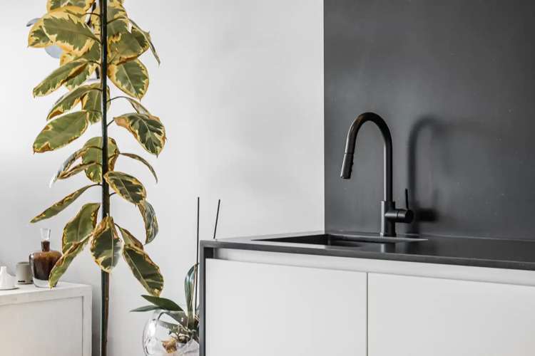 303/2 Miller Street Point Chevalier_6