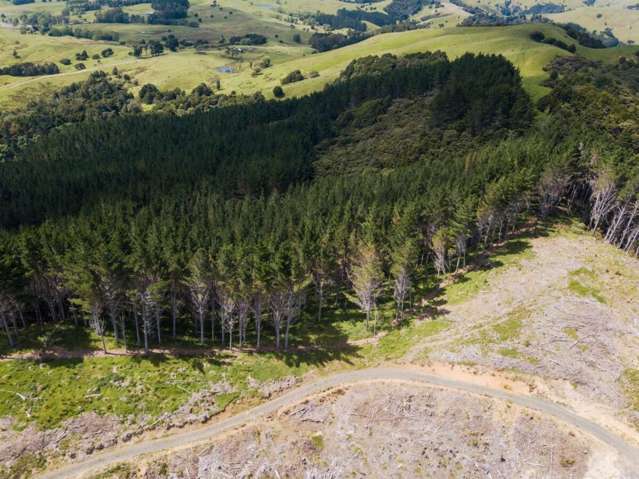 3716 KAIPARA COAST HIGHWAY Kaipara Flats_2