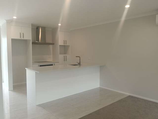 5/149 Nixon Street Hamilton East_2