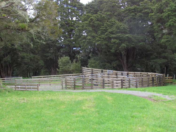 Tremain Road Ruatangata West_2