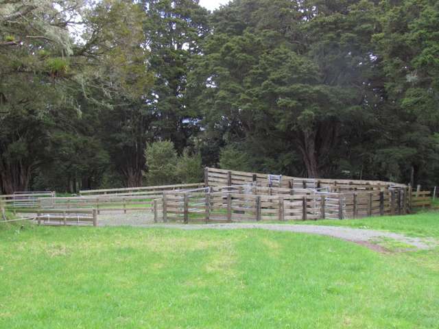 Tremain Road Ruatangata West_2