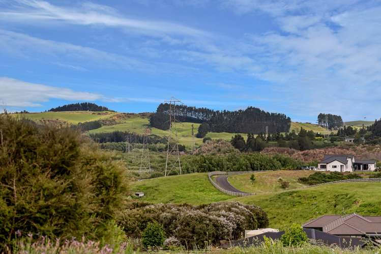 11 PEET ROW Pokeno_25