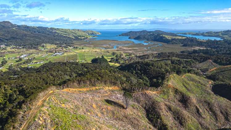 982B Manaia Road Coromandel_25