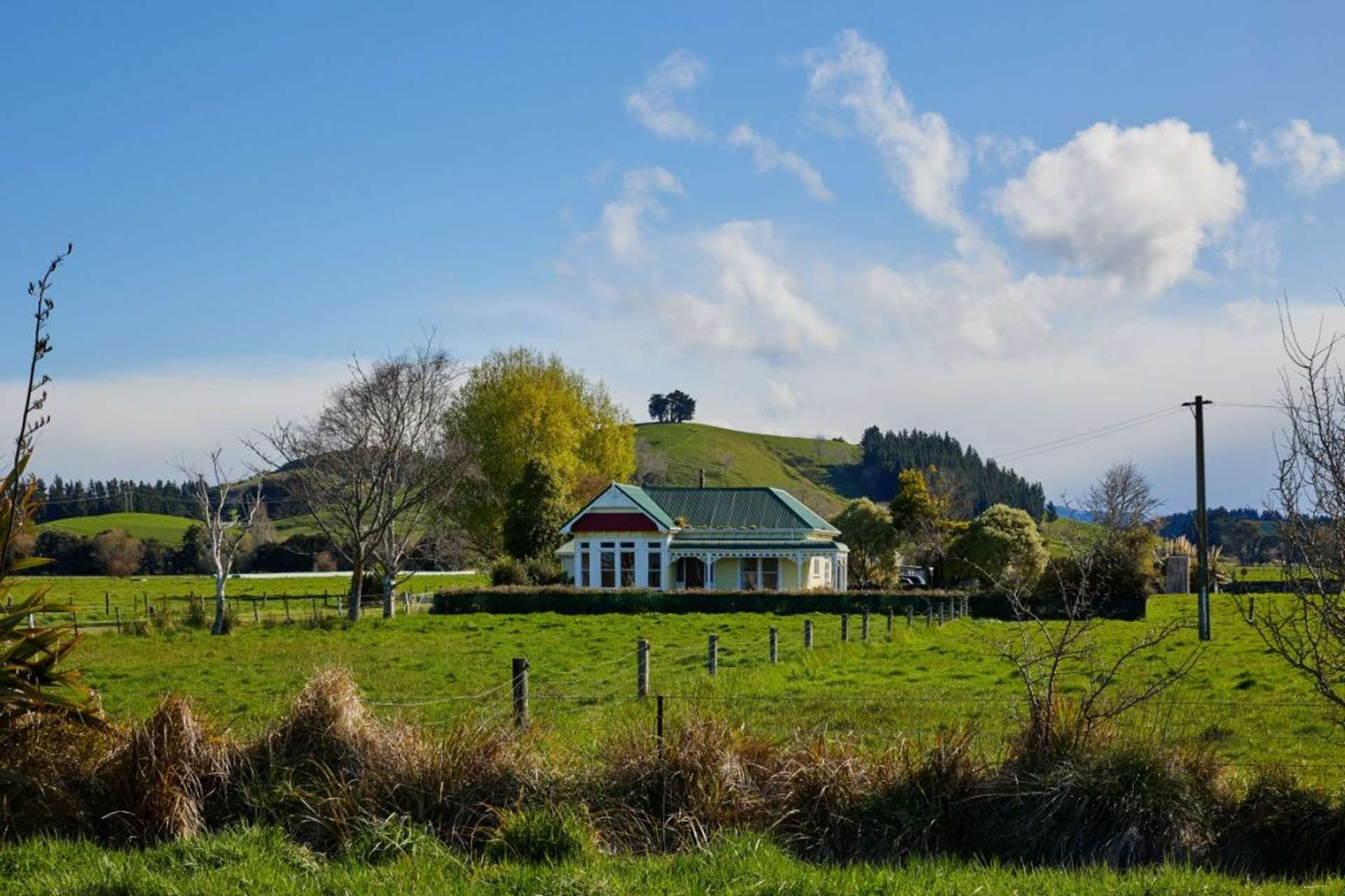 71 Rorrisons Road Kaikoura_0