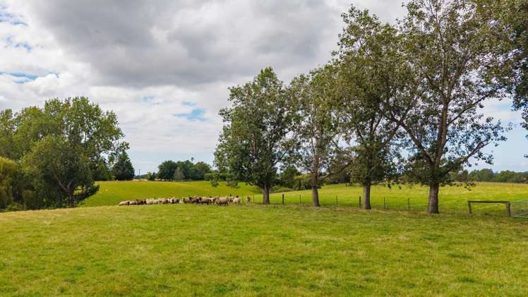 203 Maytown Road Waimate_17