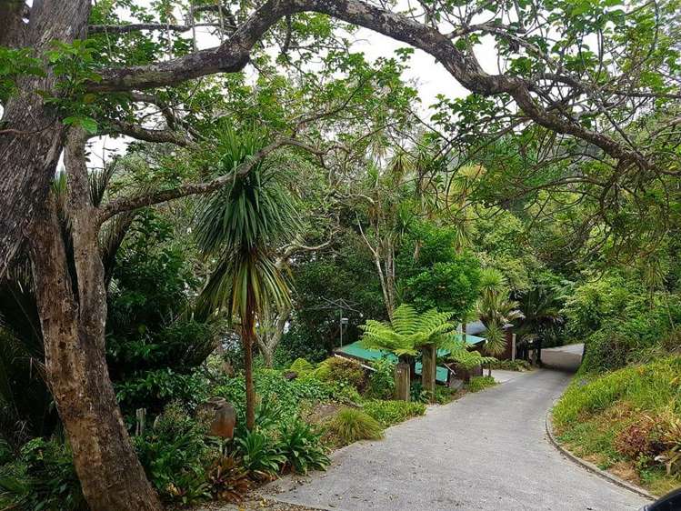 251 Wade River Road Whangaparaoa_25