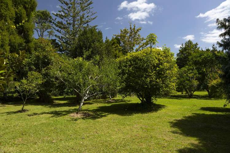 1982 Diggers Valley Road Kaitaia Surrounds_24