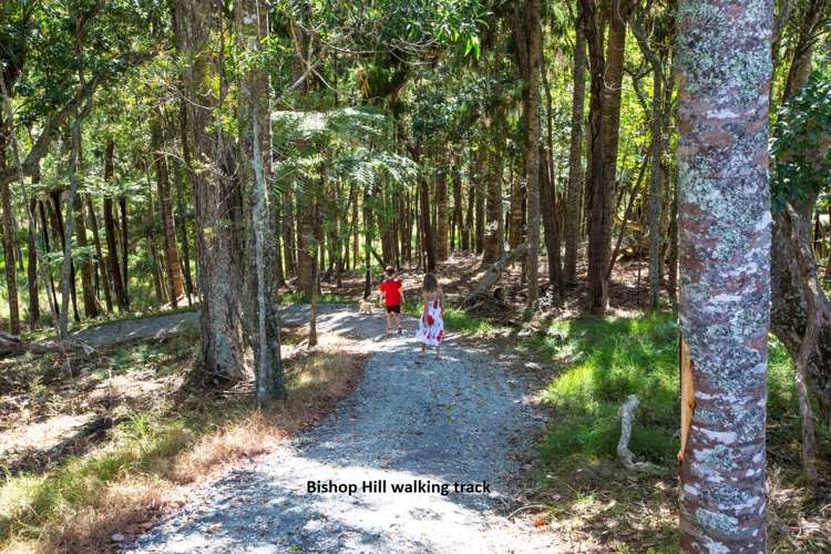 44 Bishop Lane Tawharanui Peninsula_7