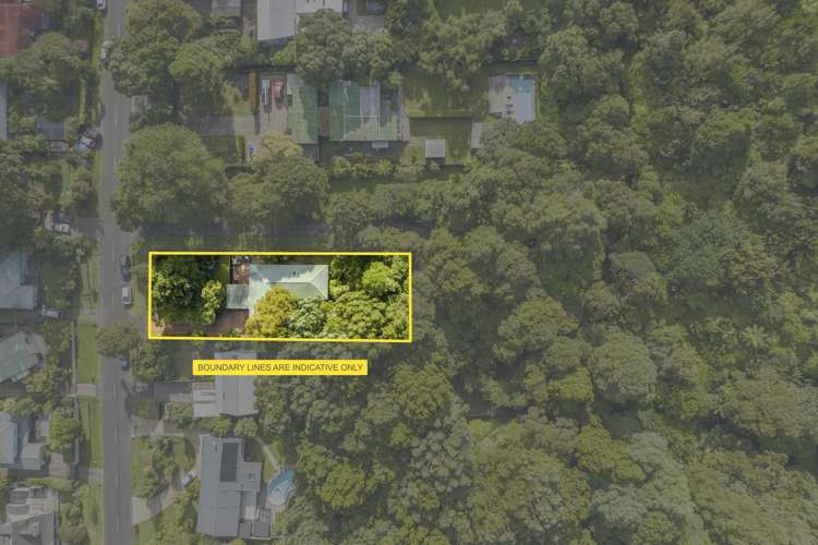 7 Waima Crescent Titirangi_22