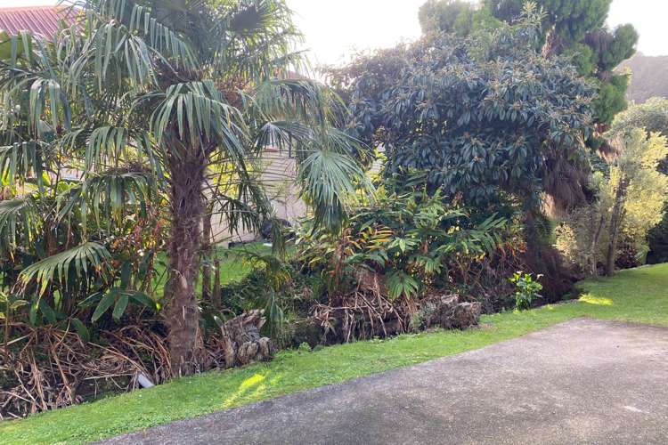 306 Sandes Street Thames_15