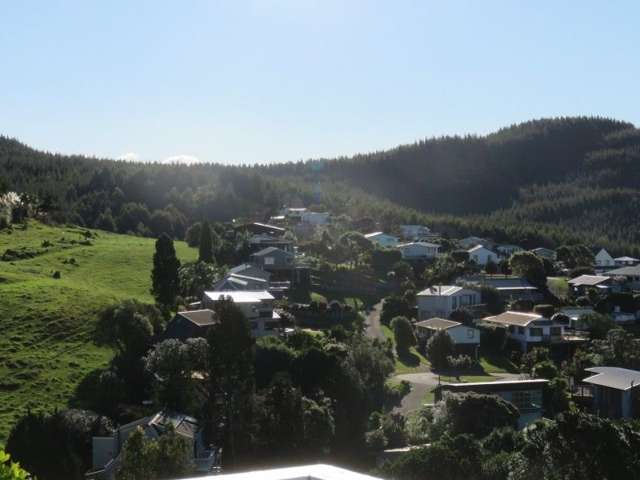 324 Onemana Drive Onemana_3