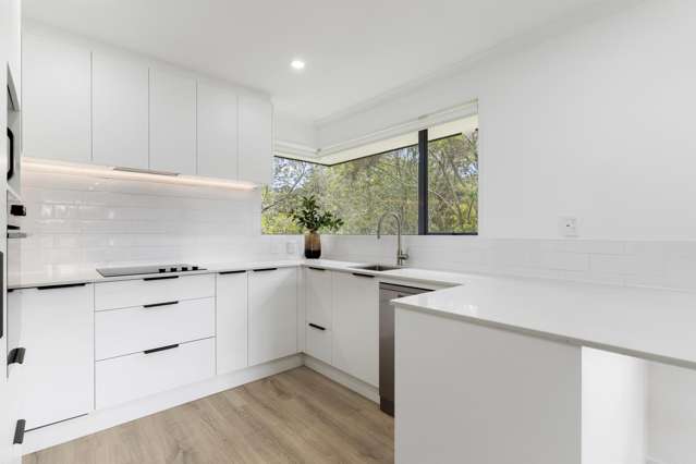 45 Hewlett Road Massey_4