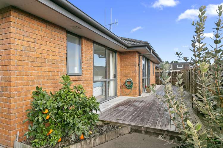 180 Daphne Street Te Awamutu_15