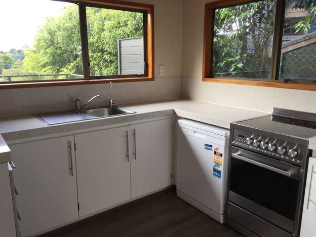 163 Browns Bay Road Browns Bay_4