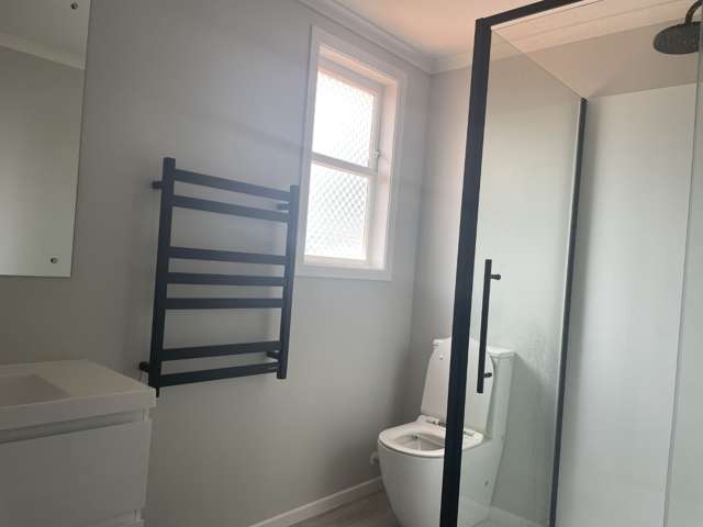 208 Garnett Street 10495_4