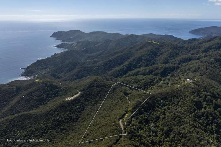 LOT 2 303 Waiaua Road Hihi_12