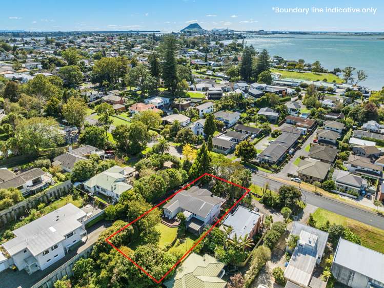 30 Fourteenth Avenue Tauranga South_19