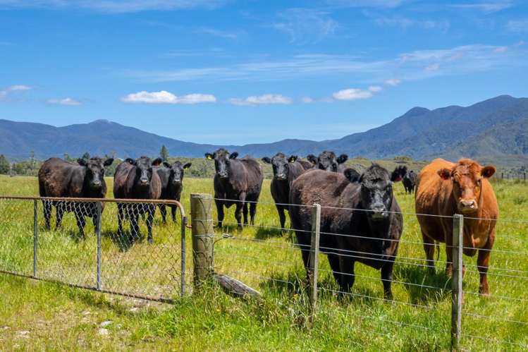 153 Quartz Range Road Bainham_1