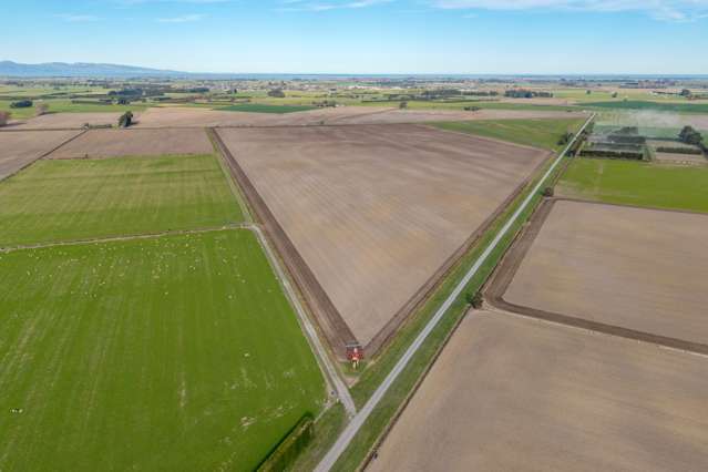 116 Andersons Road Leeston_2