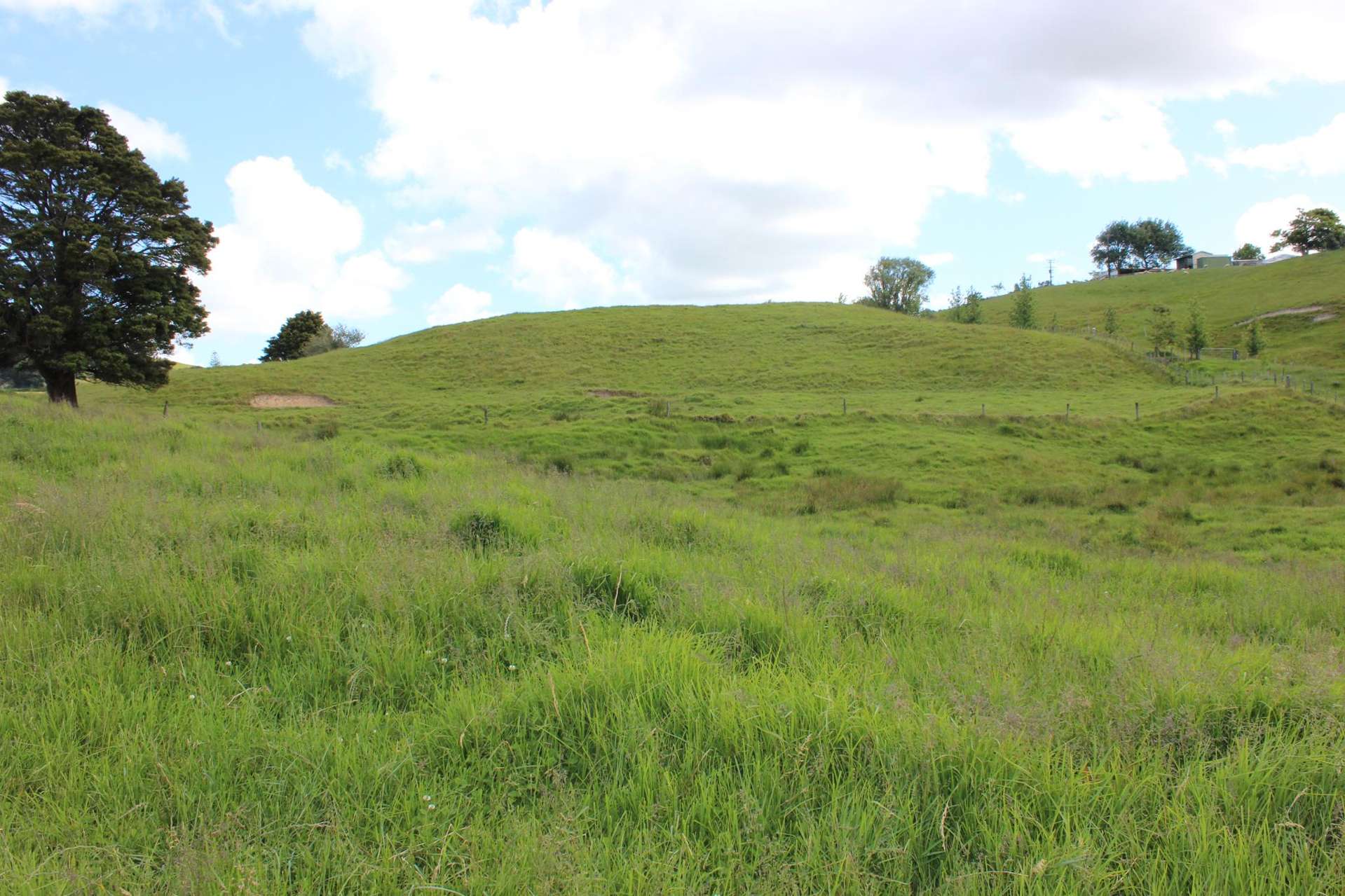 118 Paparoa Station Road Paparoa_0