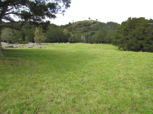 Tremain Road Ruatangata West_1