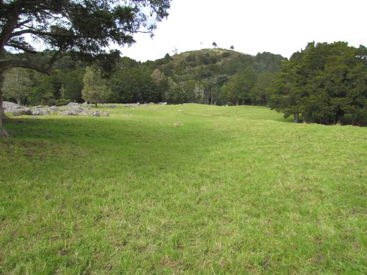 Tremain Road Ruatangata West_1