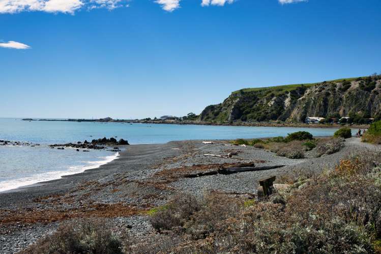 178 Esplanade Kaikoura_15