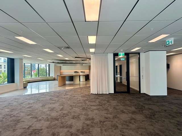 105 Carlton Gore Road Newmarket_3