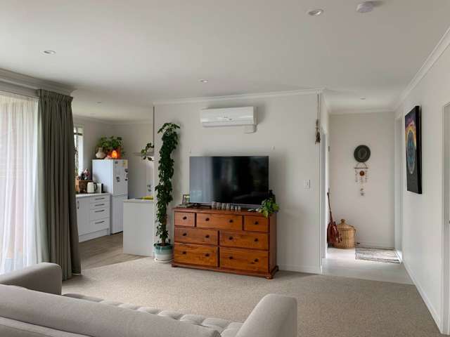 30d Elizabeth Street Orewa_1