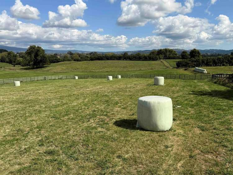 168 Gillard Road Ohaupo_10