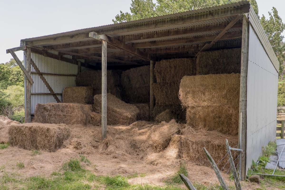 175 Barrys Bay Valley Road_1