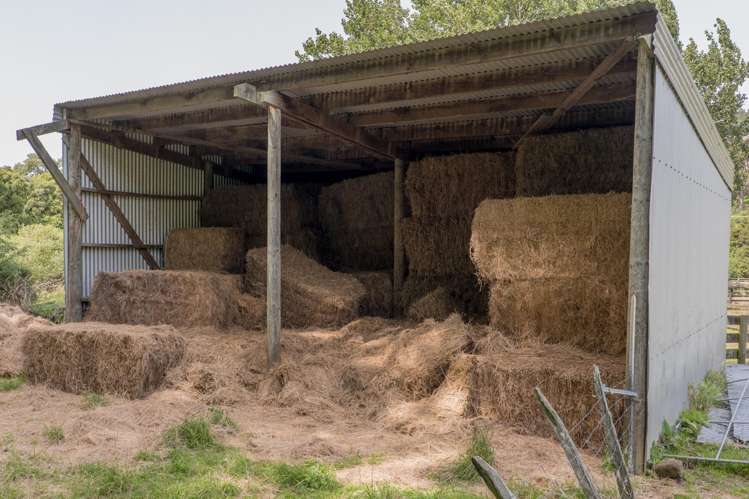 175 Barrys Bay Valley Road Barrys Bay_5